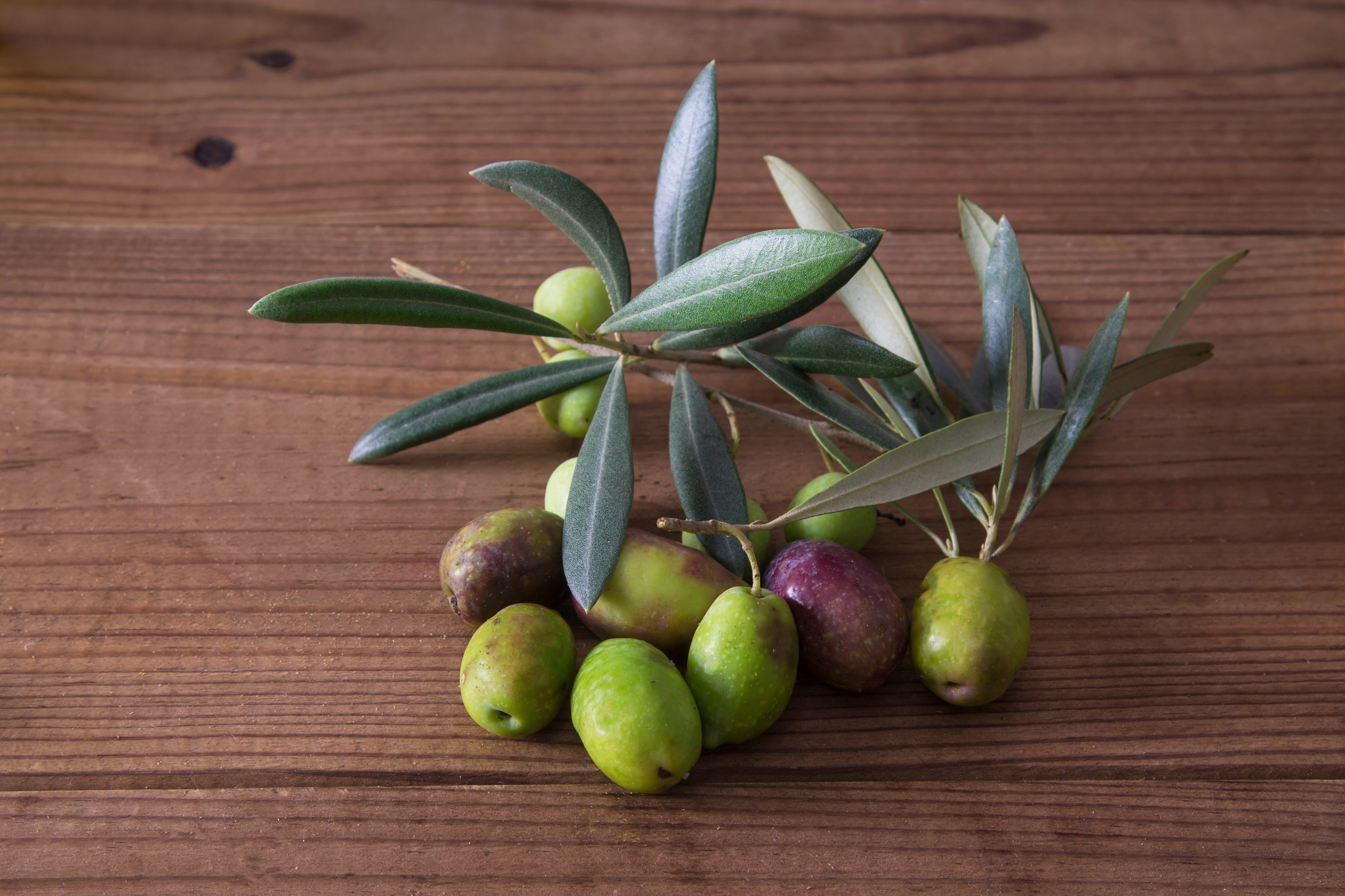 Olive Oil